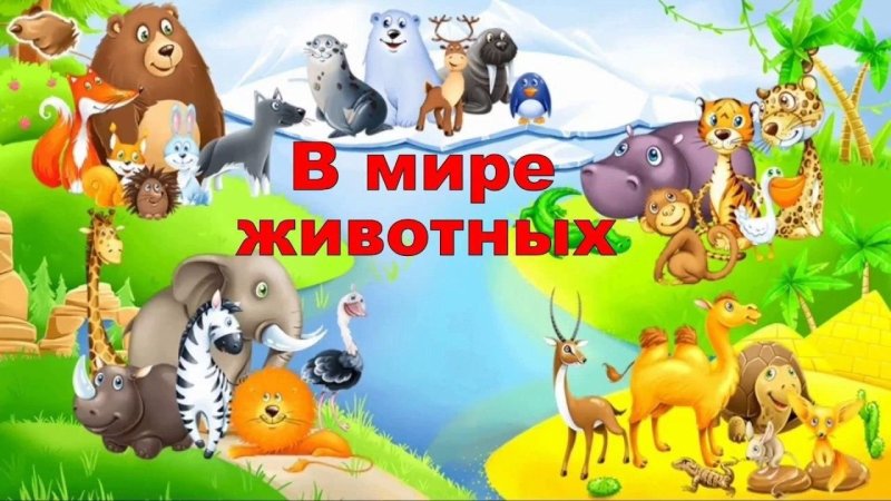 Изучение животных