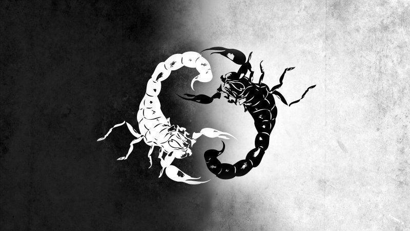 Скорпион картинки