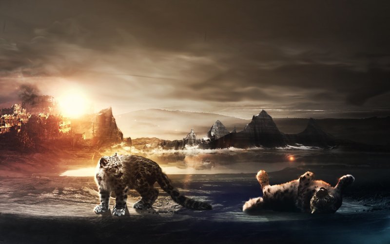 Фото на заставку рабочего стола