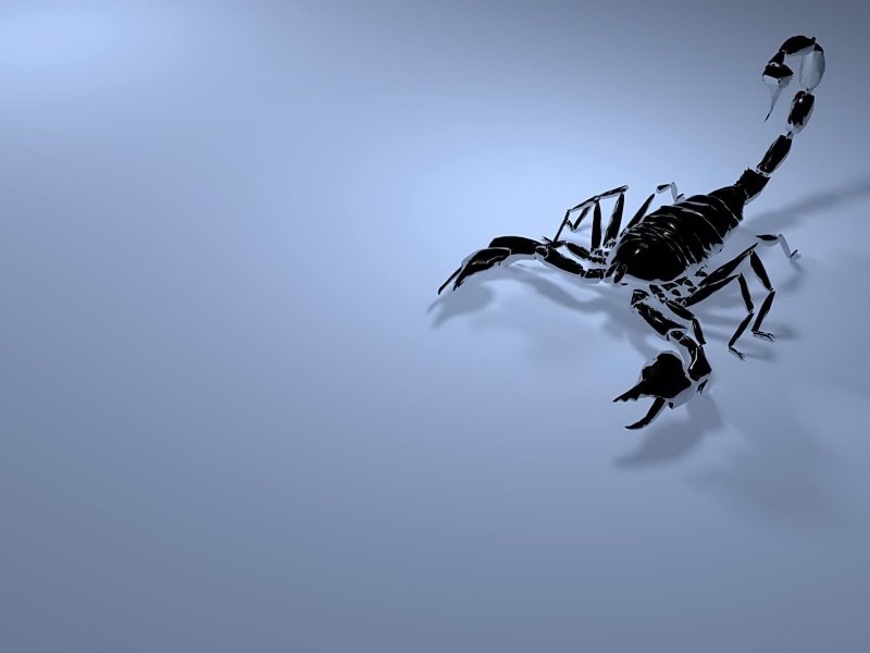 Скорпион картинки