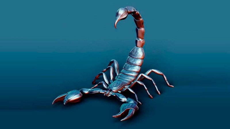 Скорпион картинки