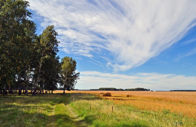 Пейзажи средней полосы России