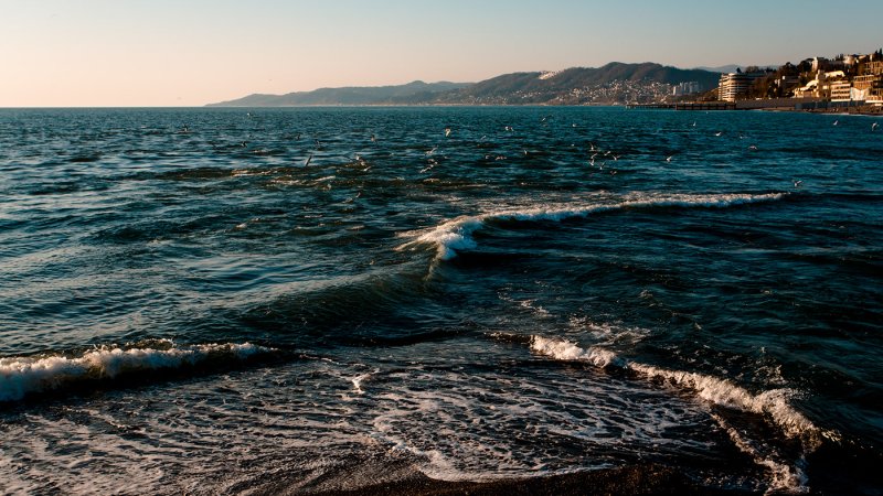 Адлер море 2023