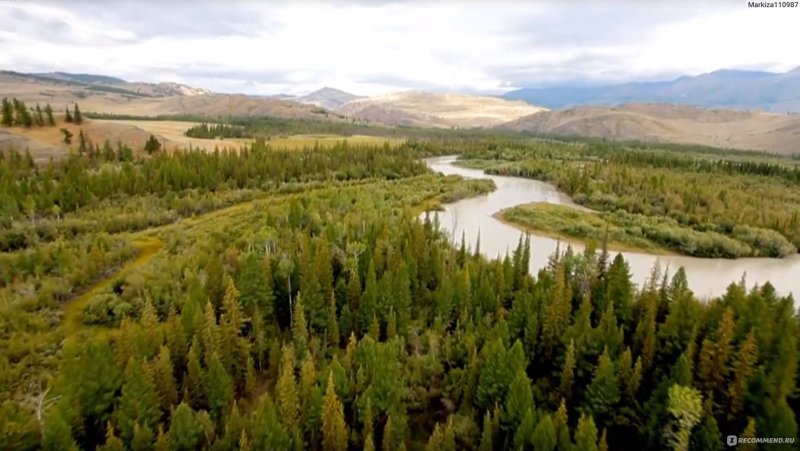 Пока цветет папоротник Алтай
