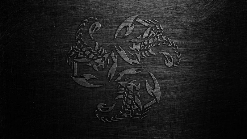 Обои на рабочий стол Скорпион