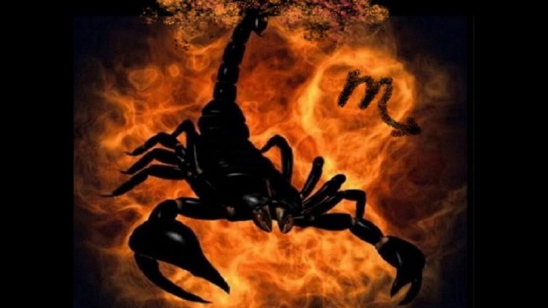 Злой Скорпион