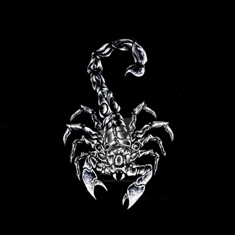 Скорпион логотип