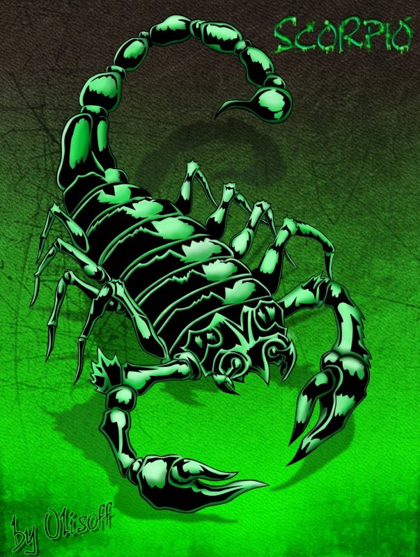 Скорпион картинки