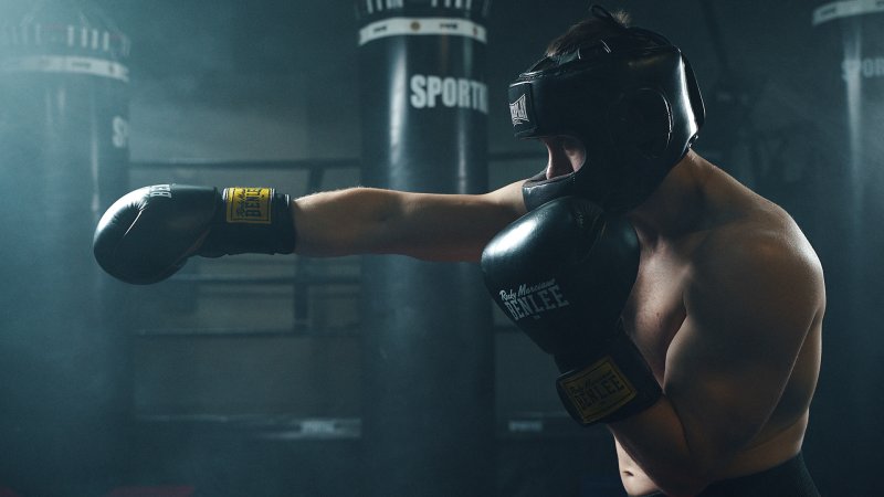 Фото боксеров