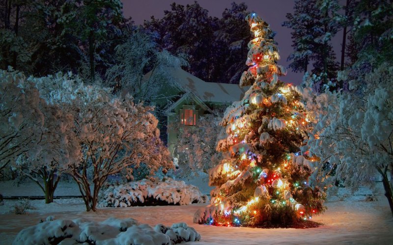 Красивая Новогодняя елка