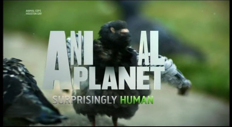 Планета животных передача