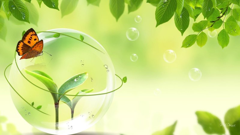 Фон для презентации по экологии