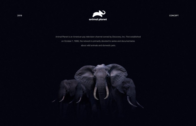 Анонсы animal Planet