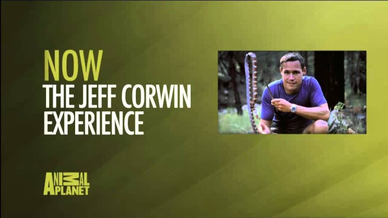 Animal Planet реклама