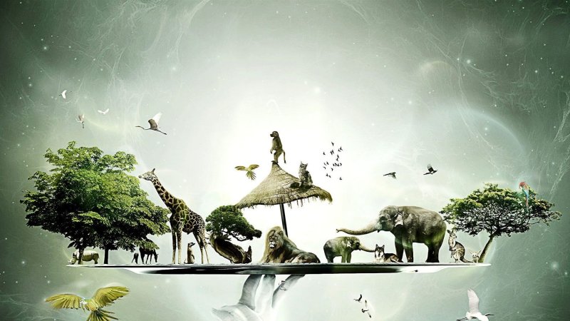 Эволюция природы