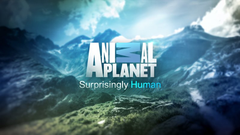 Телеканал animal Planet HD