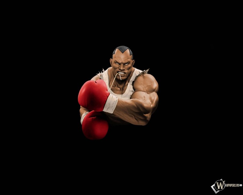 Стрит Файтер боксер