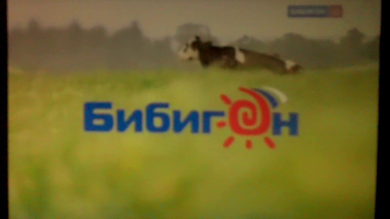 Бибигон заставки 2007 2010