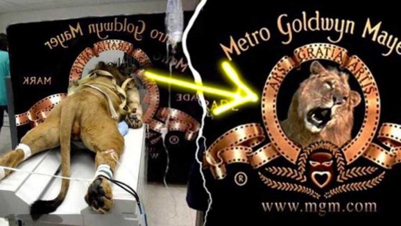 Кинокомпания Голдвин Майер