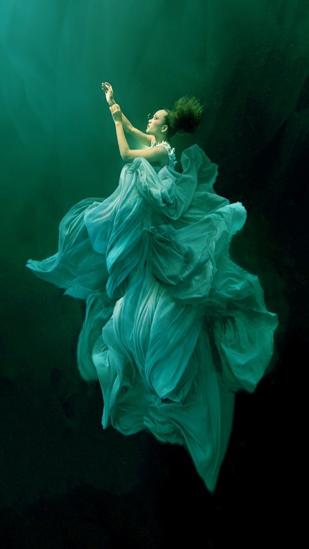 Заставка хонор