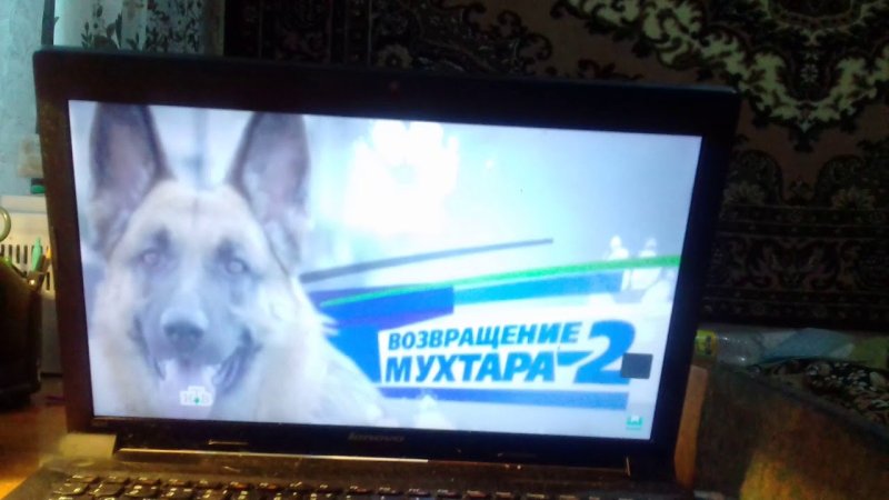 Возвращение Мухтара титры