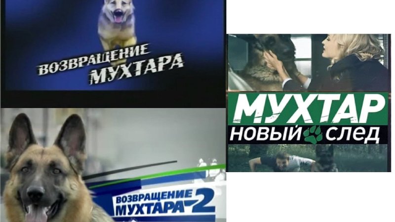 Мухтар новый след Максим