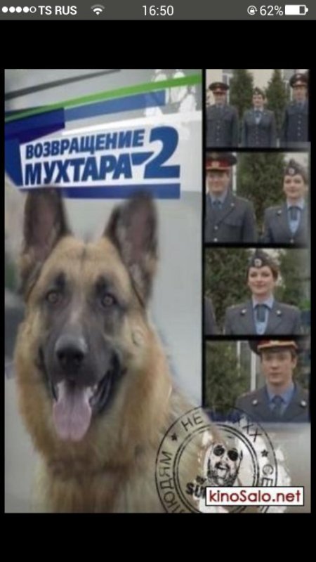 НТВ Возвращение Мухтара 2 Алексей
