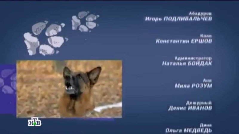 Анонс Мухтара