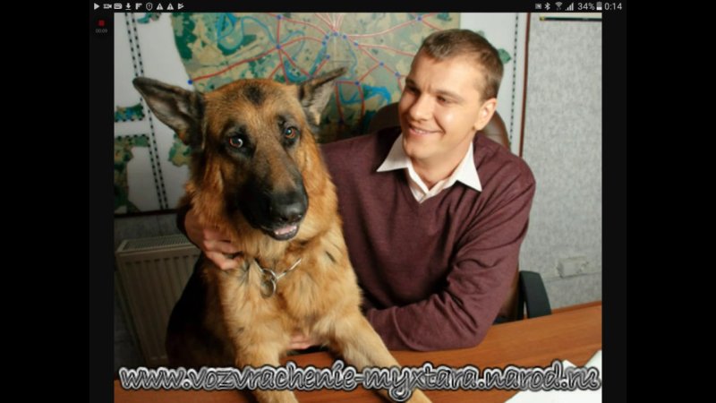 Мухтар Муха