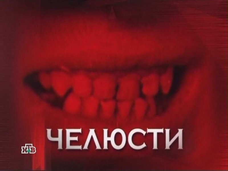 Заголовки из следствие вели