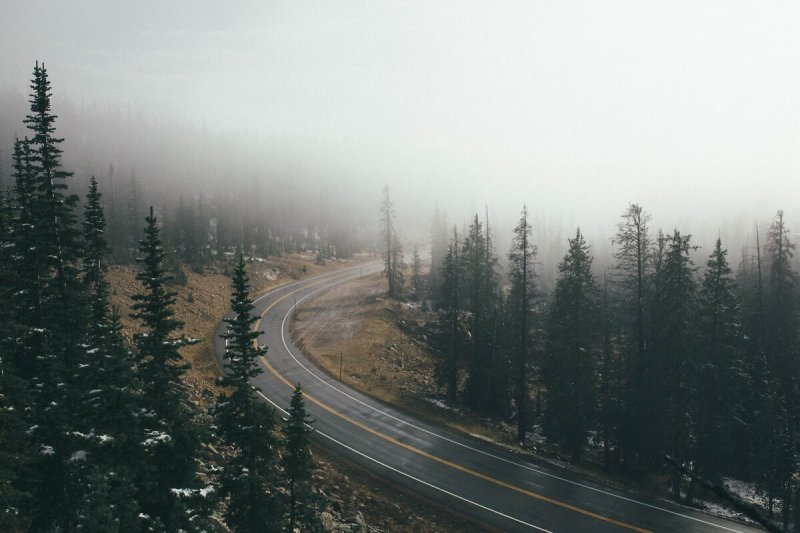 Твин пикс лес