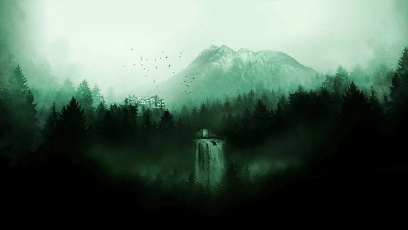 Твин пикс лес