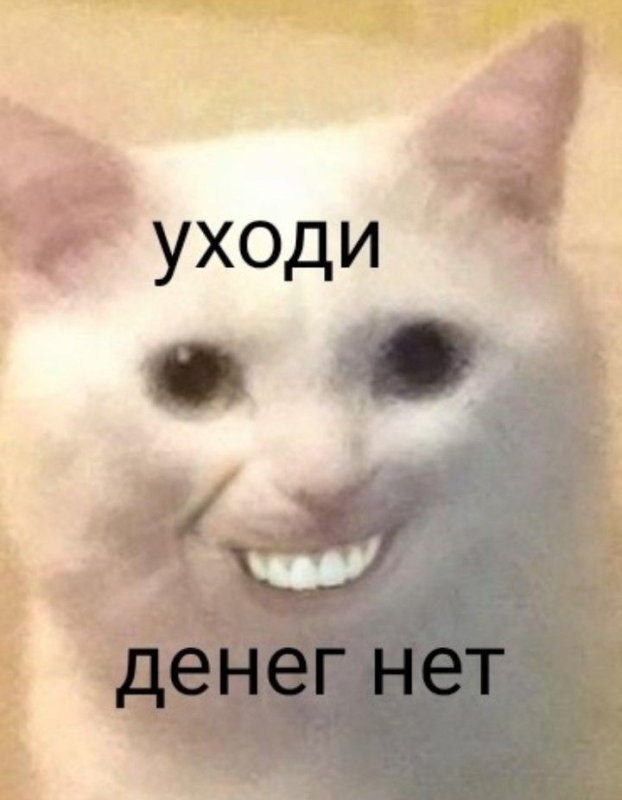 Смешные мемы