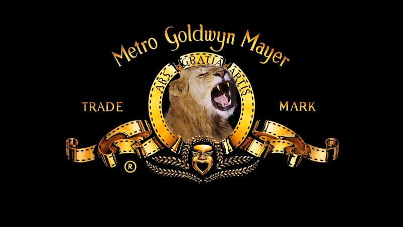 Metro Goldwyn Mayer 1916