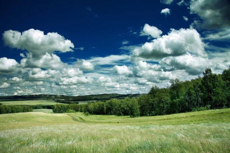 Родина Россия