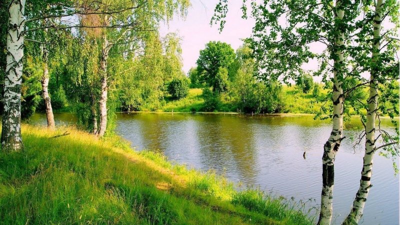 Жигулин о Родина