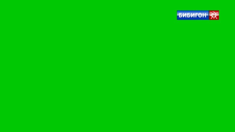 Логотип канала Бибигон 2021