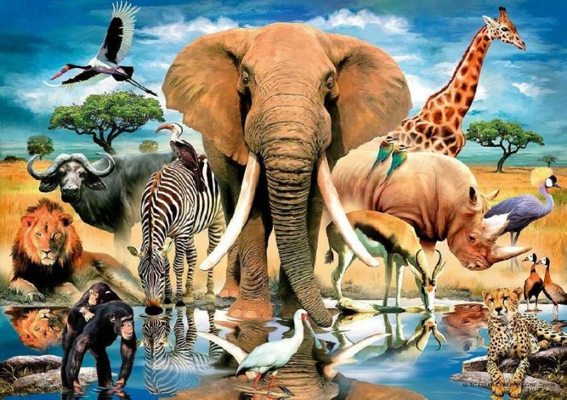 Животный мир Африки