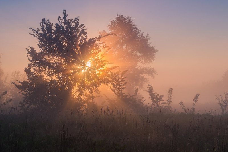Очень раннее утро