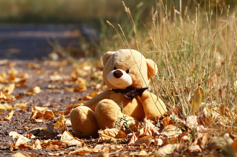 Мишка осень