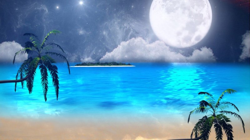 Море пальмы Луна