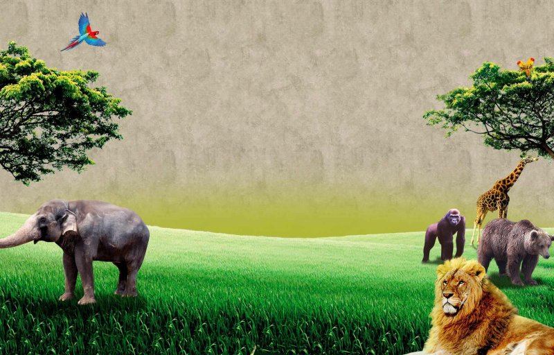 Фон для презентации животные