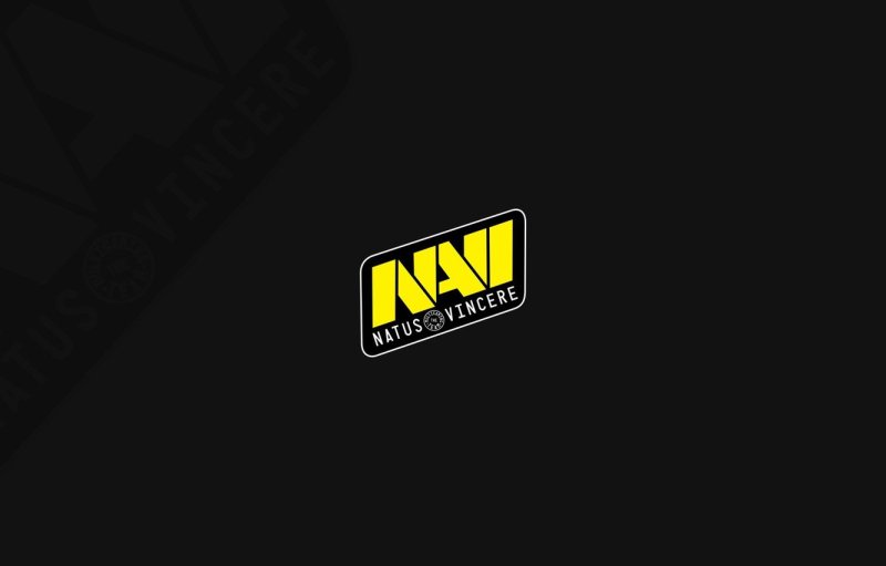 Navi CS go логотип
