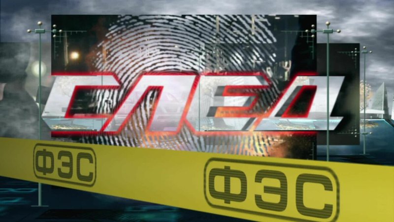 ФЭС логотип след