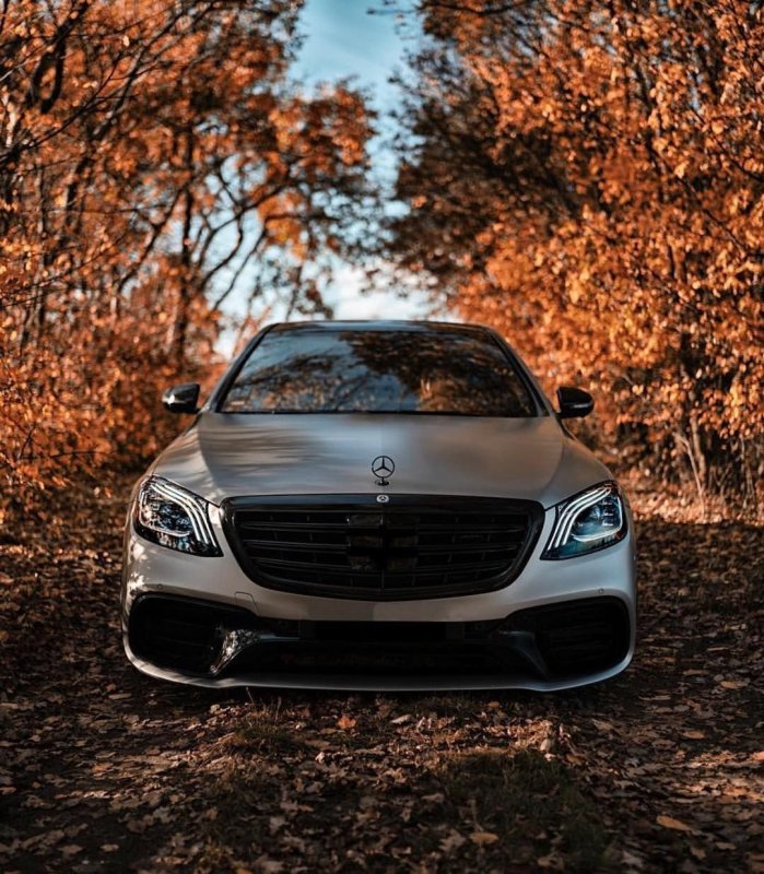 S63 AMG w222