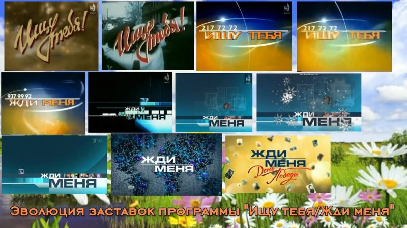 Амик заставка программы Эволюция