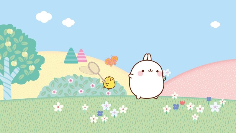 Японский кролик Моланг