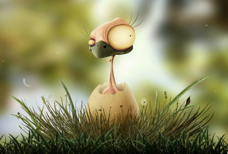 Смешные заставки на рабочий стол