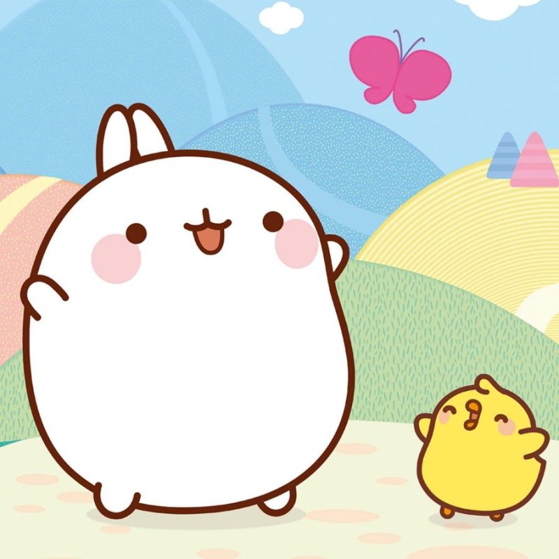 Японский кролик Моланг