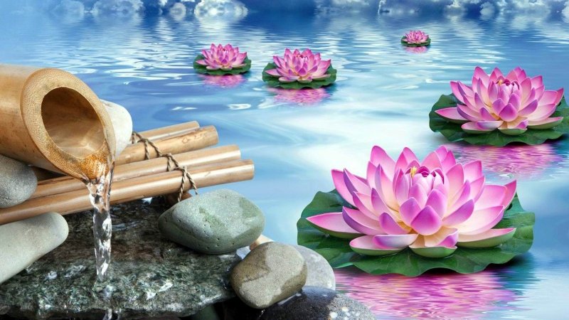 Заставка фен шуй